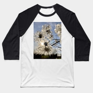 Sunlight through an Old Man's Beard - This Clematis is a Traveller's Joy Baseball T-Shirt